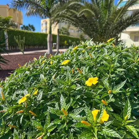 Casa vacanze Isla Feliz San Miguel de Abona