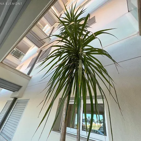 Isla Feliz Сasa de vacaciones