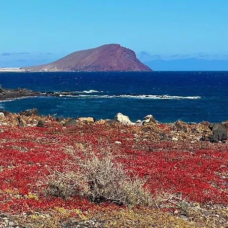 펜션 Isla Feliz 산미겔데아보나